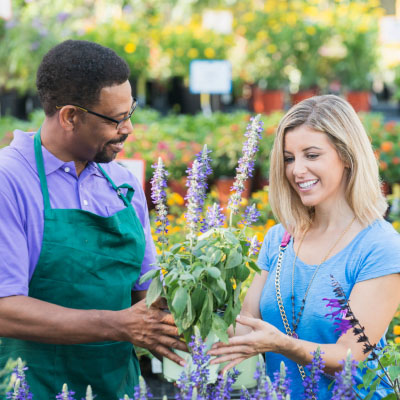 Caring for your Plants