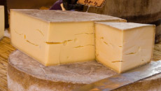 GourmetCheesesCub - Gruyère